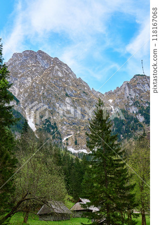 Mountain landscape with green meadow, surrounded by pine forests and snow-capped peaks under clear sky. Tatra mountains in Zakopane, Poland. Giewont summit Mountain landscape with green meadow, surrounded by pine forests and snow-capped peaks under clear sky. Tatra mountains in Zakopane, Poland. Giewont summit 118167068