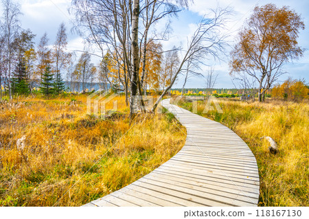 A winding wooden path meanders through the vibrant autumn colors of the Pernink peat bog in the Ore Mountains, inviting explorers to immerse themselves in nature's serene beauty. A winding wooden path meanders through the vibrant autumn colors of the Pernink peat bog in the Ore Mountains, inviting explorers to immerse themselves in nature's serene beauty. 118167130