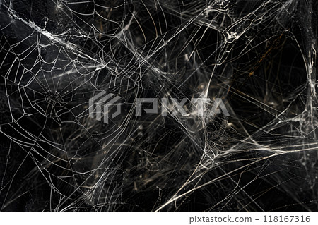 神經網路中的腦科學和藝術。蜘蛛網 118167316