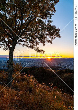 [Nara Prefecture] A beautiful evening view from the summit of Mount Wakakusa 118167420