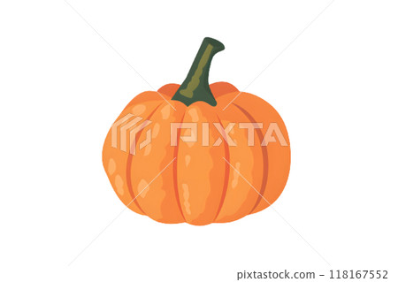 Vivid orange pumpkin illustration 118167552