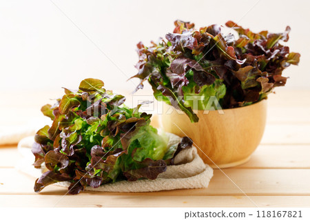 red oak lettuce on wooden table background 118167821