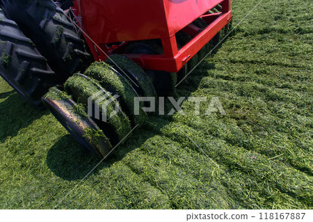 tractor harvesting hay for animals, tractor harvesting green grass for feed, agribusiness concept tractor harvesting hay for animals, tractor harvesting green grass for feed, agribusiness concept 118167887