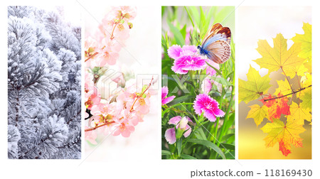 Four seasons of year. Set of vertical nature banners with winter, spring, summer and autumn scenes. Nature collage with seasonal scenics. Copy space for text 118169430