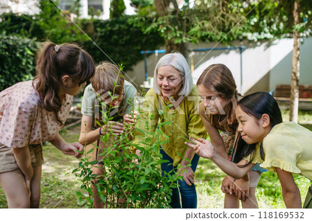 Kids learning about fruit tree seedling and fruit bushes, taking care of school garden during outdoor sustainable education, class in forest school. Concept of experiential learning and ecoliteracy. Kids learning about fruit tree seedling and fruit bushes, taking care of school garden during outdoor sustainable education, class in forest school. Concept of experiential learning and ecoliteracy. 118169532