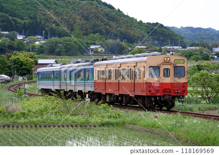 Old diesel cars that ran on the Kururi Line (Kiha 37 + Kiha 38 + Kiha 30) 118169569