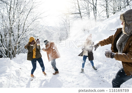 Friends in snowball fight in snowy nature. First snowfall of the season. 118169789