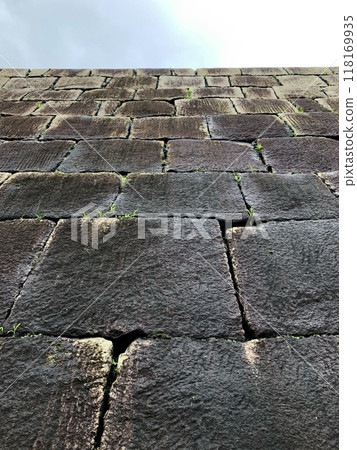 Ishigaki Castle 118169935