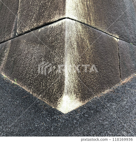 Ishigaki Castle 118169936