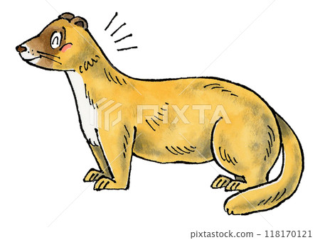 Happy Weasel 118170121