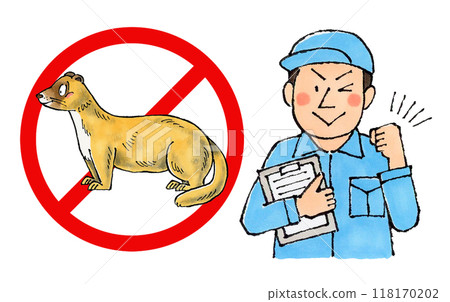 Male worker at a weasel extermination company (weasel prohibition sign) 118170202