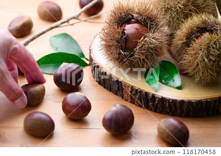 Autumn taste chestnut Autumn taste chestnut 118170458