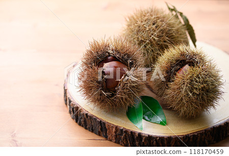 Autumn taste chestnut Autumn taste chestnut 118170459