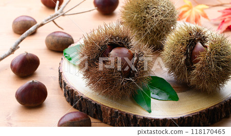 秋天的味道栗子 118170465