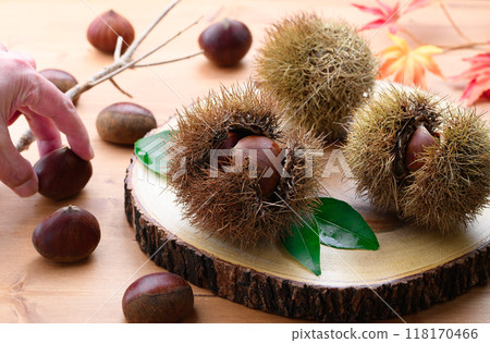 Autumn taste chestnut 118170466