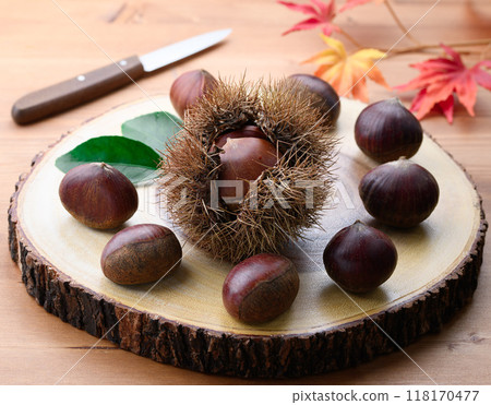 秋天的味道栗子 秋天的味道栗子 118170477