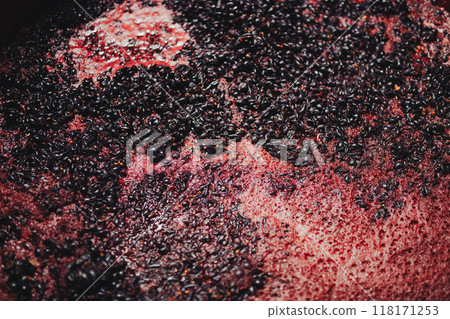 Container with crushed grapes in early stage of fermentation. Grape juice, skins and pulp. Winemaking process. 118171253