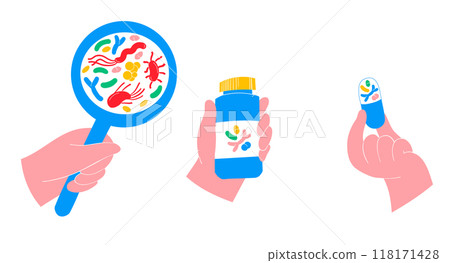 Illustration of Probiotics and Gut Microbiome - Gut Health Support 118171428