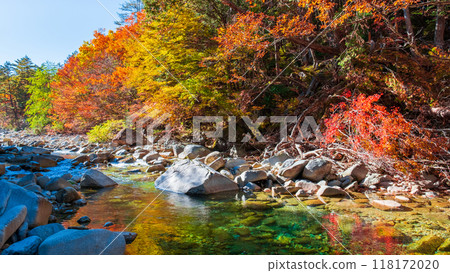 Akazawa Valley (Autumn) 118172020
