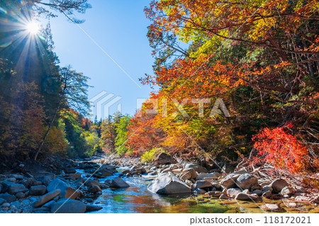 Akazawa Valley (Autumn) 118172021