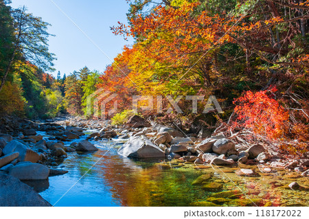 Akazawa Valley (Autumn) 118172022