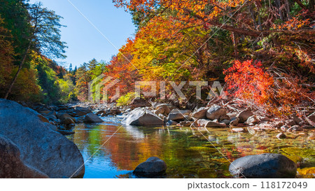 赤澤溪谷（秋季） 118172049