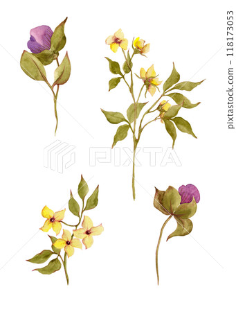 Spring flowers yellow and fuchsia colors. Watercolor garden and wild flowers. Floral large set of wildflowers for your design 118173053