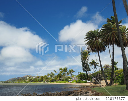 Oahu coastline, Hawaii 118173877