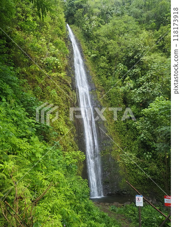 馬諾阿瀑布 (Manoa Falls),位於健行步道上的瀑布,從威基基可輕鬆抵達 馬諾阿瀑布 (Manoa Falls),位於健行步道上的瀑布,從威基基可輕鬆抵達 118173918