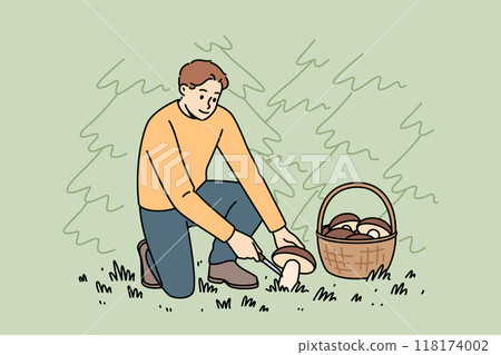 Man mushroom picker cuts fungus and puts it in basket, located in forest clearing with trees Man mushroom picker cuts fungus and puts it in basket, located in forest clearing with trees 118174002