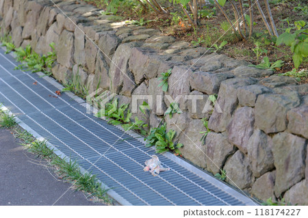 stone, rock, block, fence, stone wall, outdoors, stone, pile of stones, paving stones, concrete 118174227