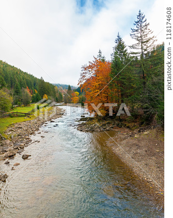 landscape with mountains, forest and a river in front. beautiful scenery in autumn. countryside vacation 118174608