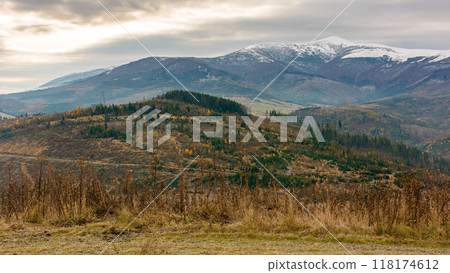countryside landscape with snow capped tops in the distance. gloomy scenery of borzhava ridge with overcast sky in late autumn 118174612