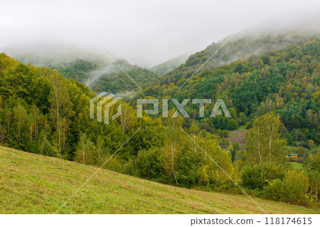 trees behind the meadow down the hill to forest in foggy mountains of ukraine. early autumn in carpathinans trees behind the meadow down the hill to forest in foggy mountains of ukraine. early autumn in carpathinans 118174615