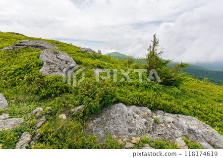 wonderful summer landscape in mountains. grassy meadows. boulders and stones on the hillside. picturesque scene on a cloudy day. ukrainian carpathians scenery 118174619
