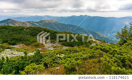 stones on the grassy alpine meadow. autumn mountain landscape on a cloudy day. view in to the distant mountain range 118174621
