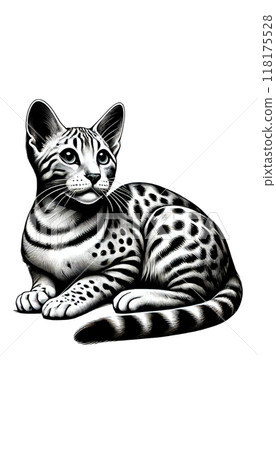 A monotone image of an Egyptian Mau, characterized by its naturally occurring spotted pattern. 118175528