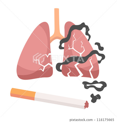 Smoking dangers icon. Smoking effect on human lung. Awareness about smoking and poison of cigarette. Resulting premature organ damage 118175665