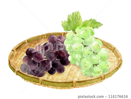 用水彩繪製的漏勺中兩種葡萄的插圖[手繪]白色背景與複製空間 118176616