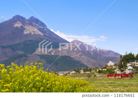 Yufuin: A red train that runs through Mt. Yufu and the field of rape blossoms 118176681
