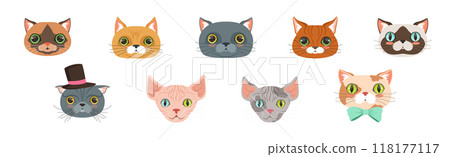 Funny Cat Muzzle and Snout with Whiskers Vector Set 118177117