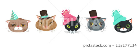 Funny Cat Muzzle and Snout with Whiskers Vector Set 118177134
