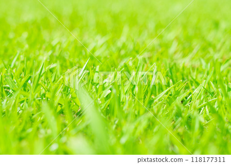 草坪影像 118177311