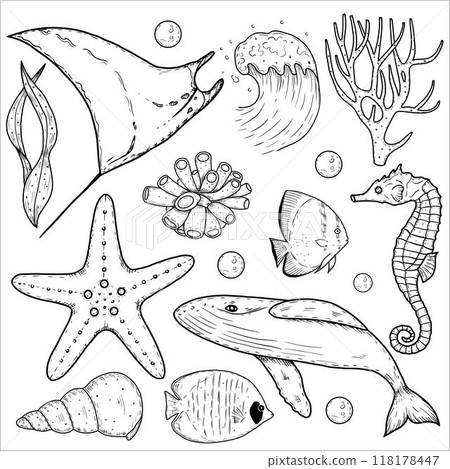 Set with sea animals, algae, corals, shells, starfish. Underwater world. Vector illustration 118178447