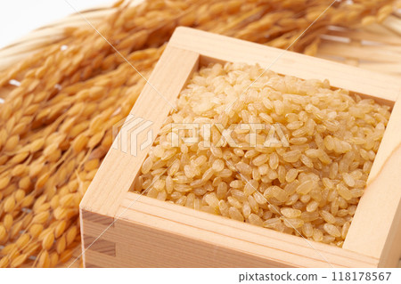 Germinated brown rice Germinated brown rice 118178567