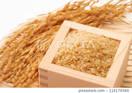 Germinated brown rice Germinated brown rice 118178568