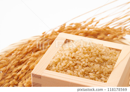 Germinated brown rice Germinated brown rice 118178569