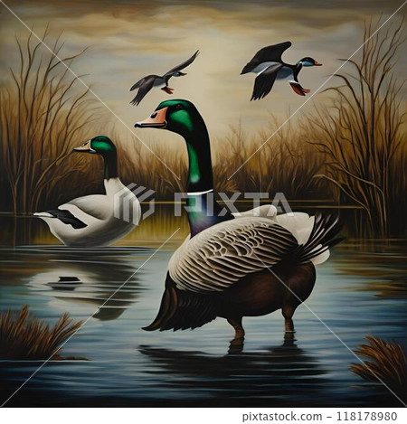 鴨子的水 118178980