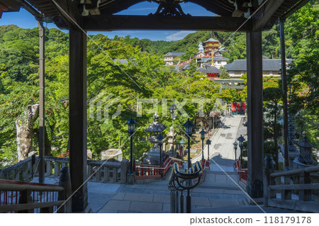 從奈良朝砂寺大殿眺望 從奈良朝砂寺大殿眺望 118179178