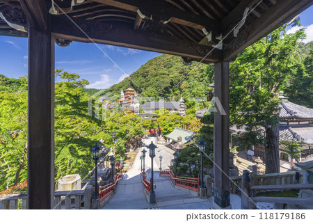 從奈良朝砂寺大殿眺望 118179186